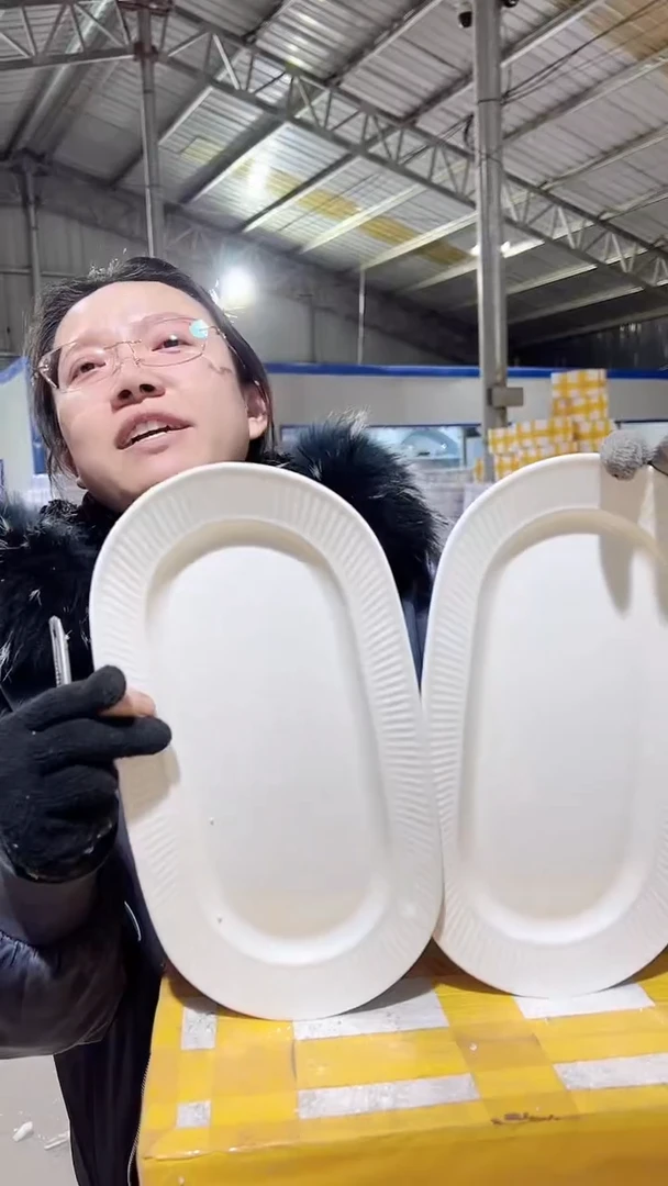 【闪购商品】瓷竖纹浮雕鱼盘2个