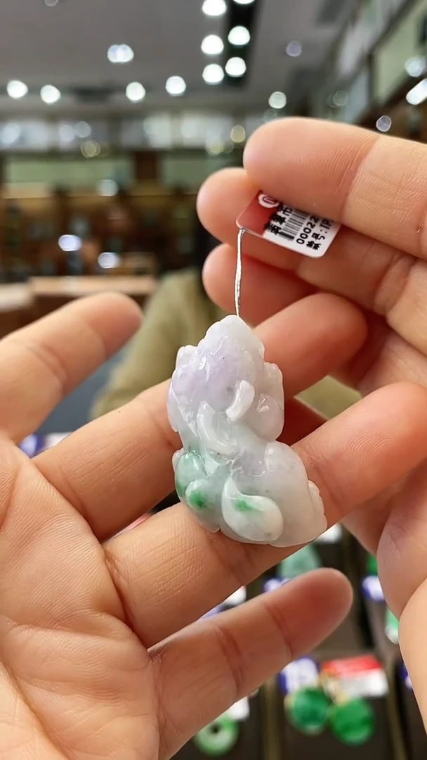 【闪购商品】翡翠颈饰未镶嵌貔貅