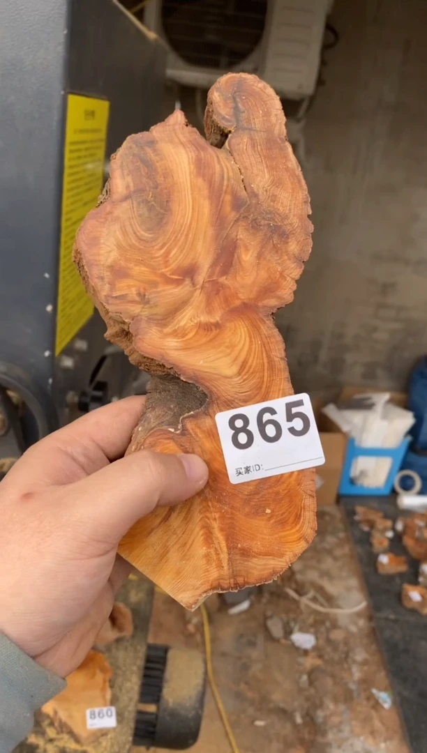 【闪购商品】柏木太行陈化崖柏切片