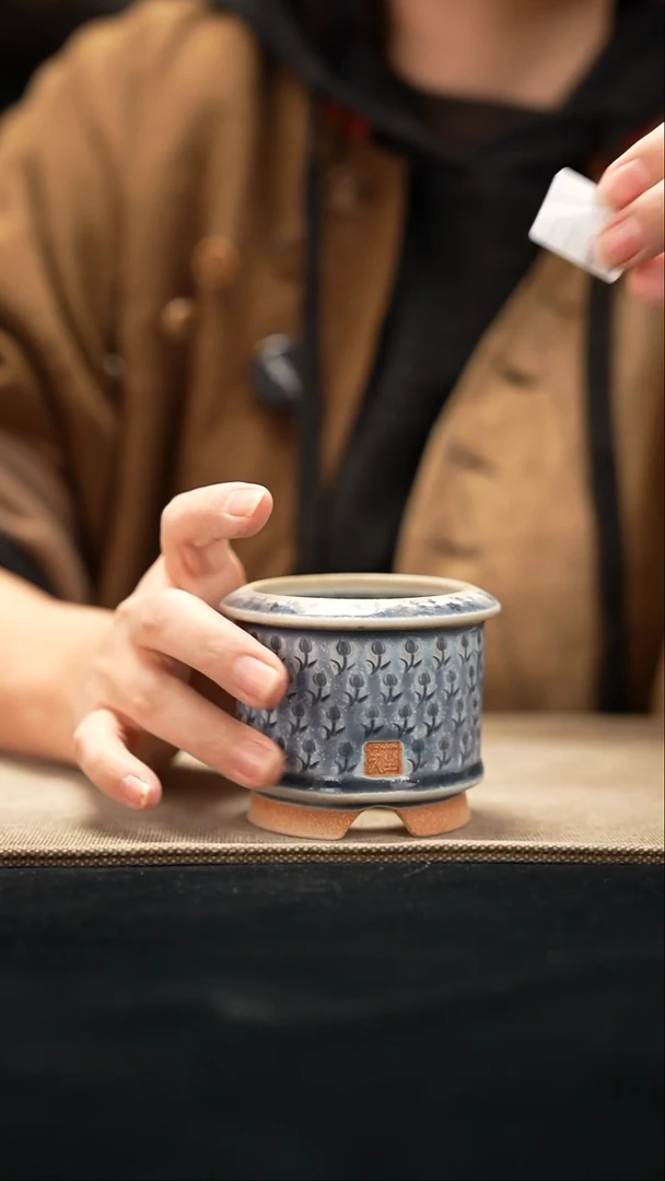 口径花盆-11-27-241