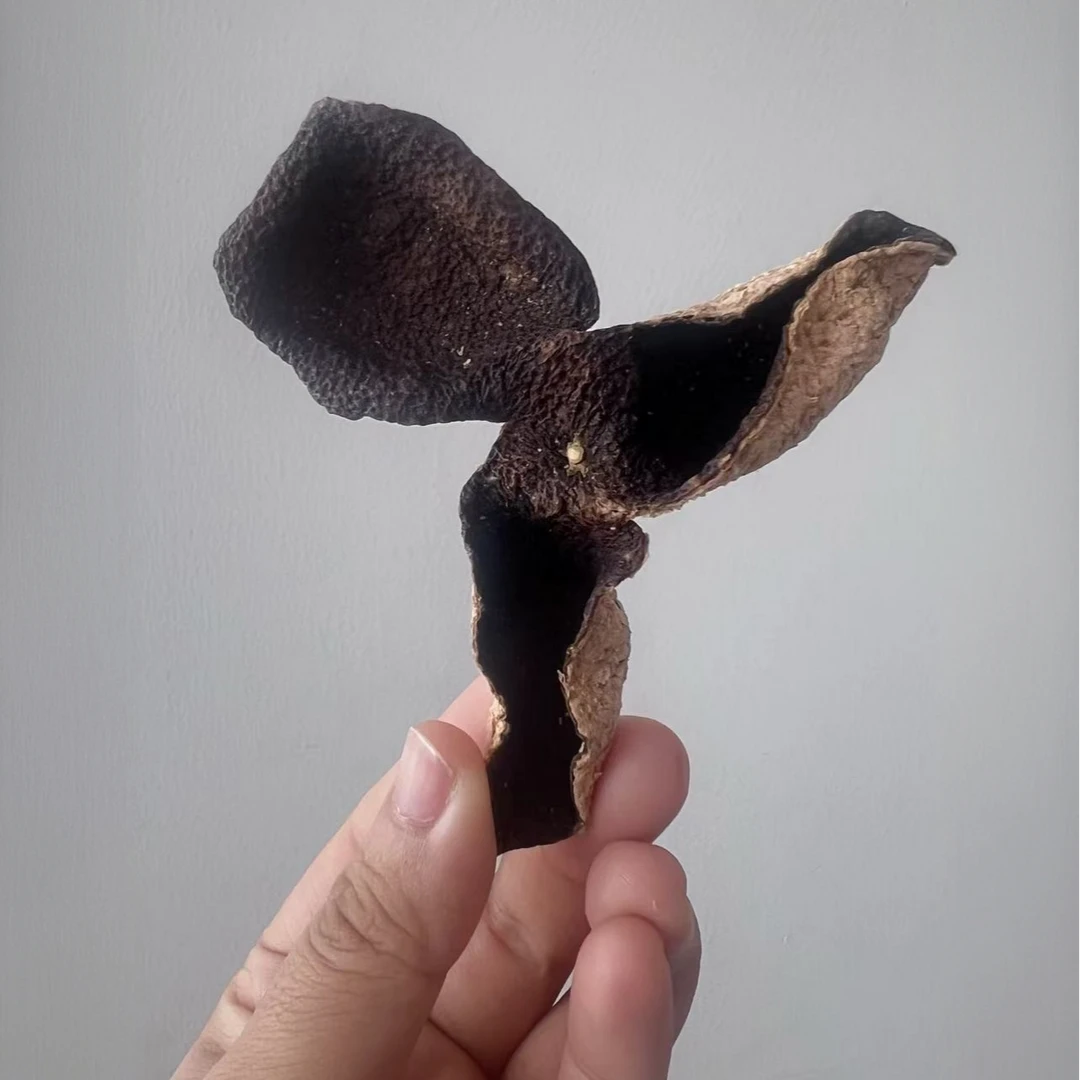 稀缺孤品：2018年西甲二红整片 典藏高货 薄荷药香