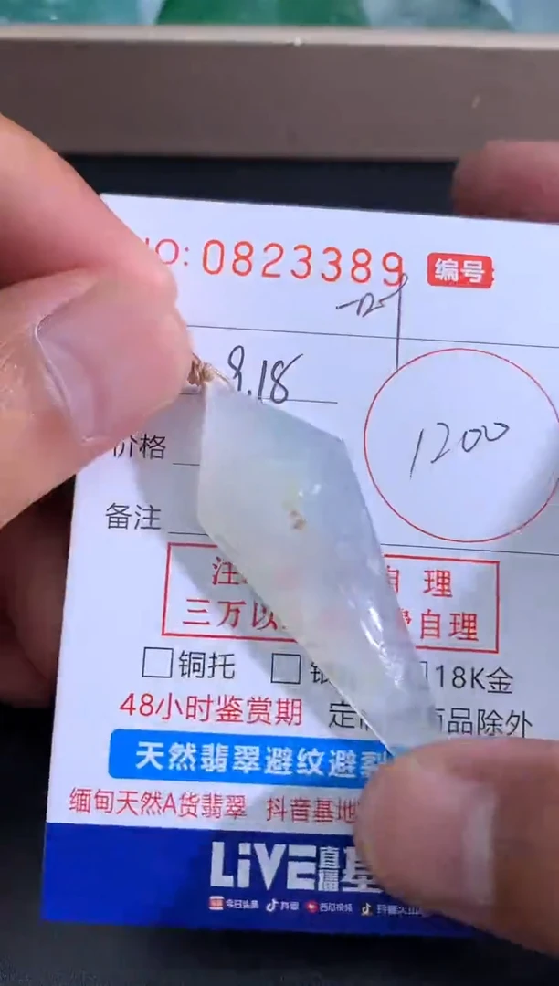 颈饰未镶嵌翡翠一**提 一叶