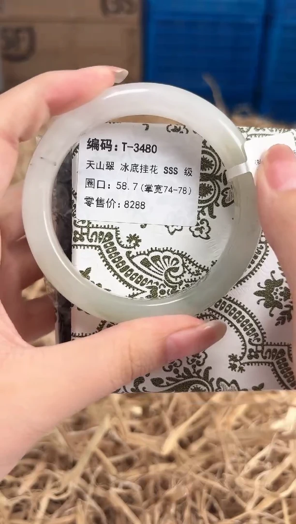 未镶嵌手镯石英质玉T-3480