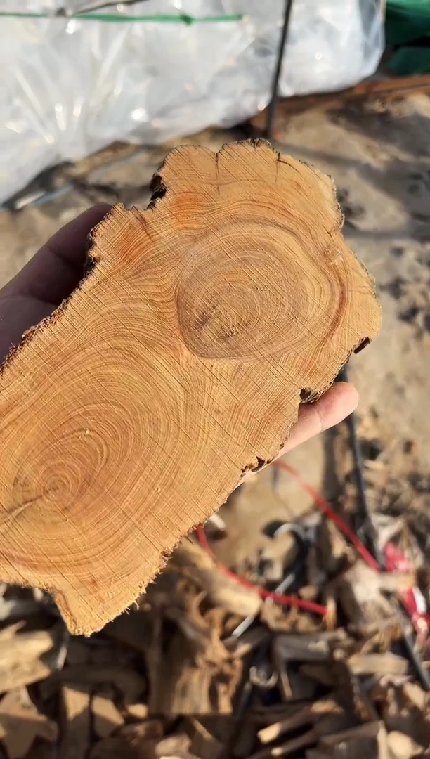 【闪购商品】柏木（崖柏）南太行崖柏毛料1