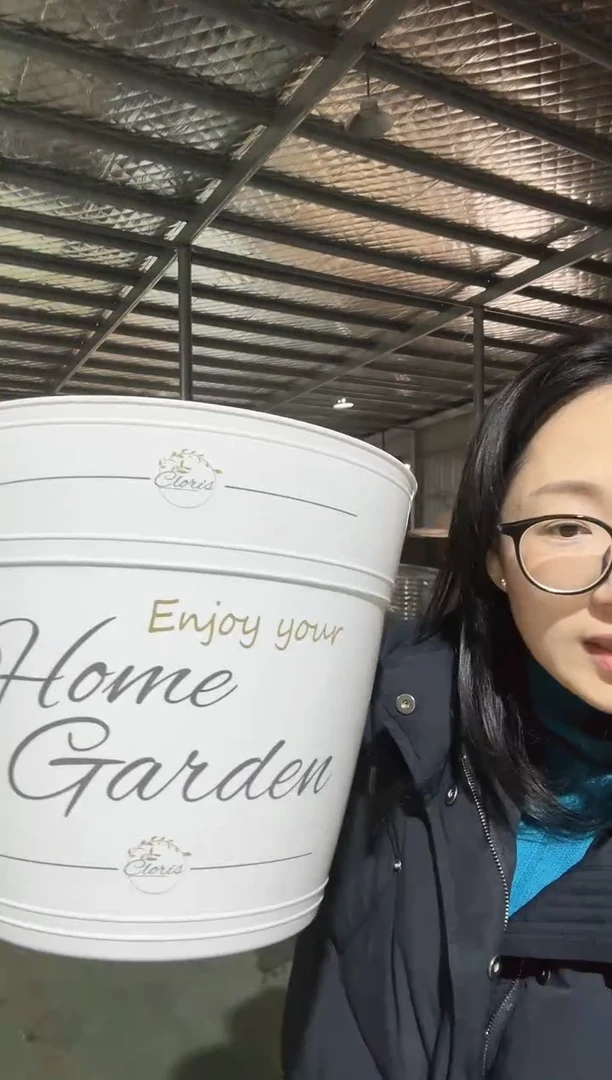 【闪购商品】塑料8寸罗斯玛丽白色印花4只装