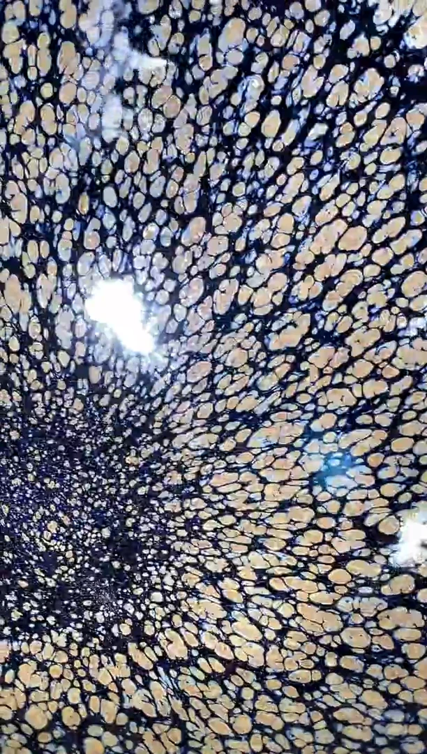 茶盏老木头柴烧精品49