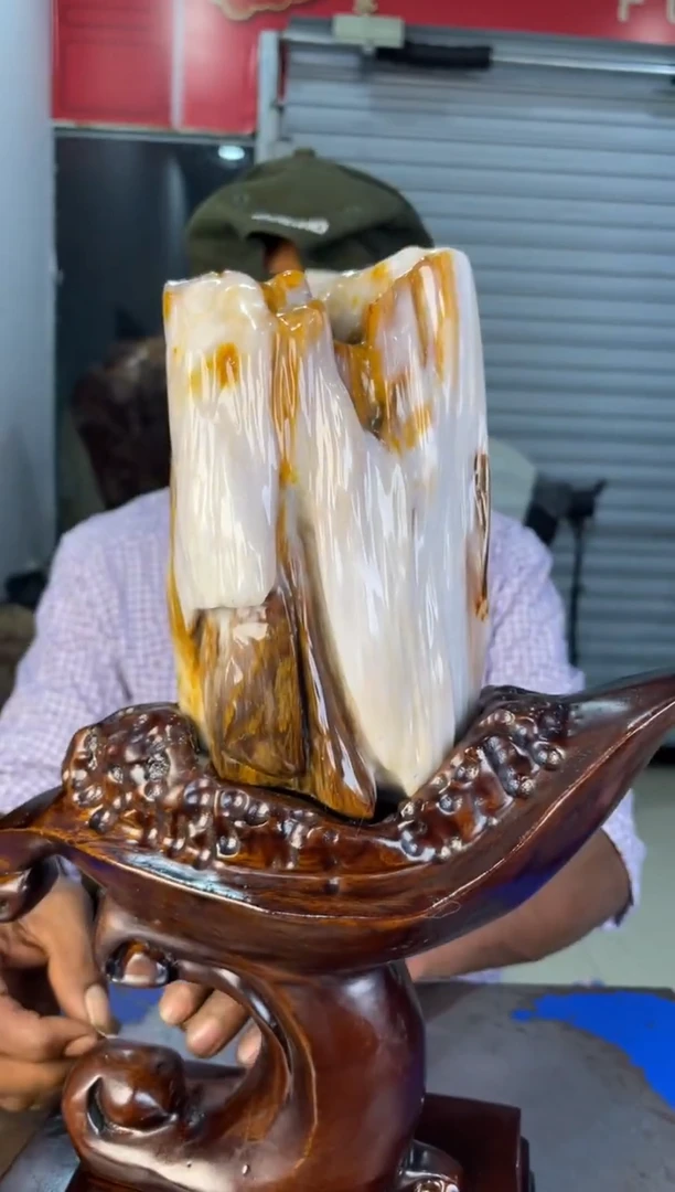 未镶嵌摆件硅化玉31