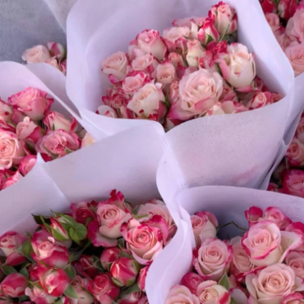 多头玫瑰盲盒9种随机