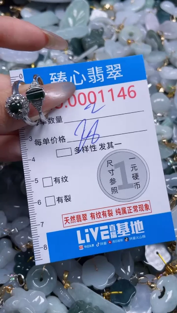 颈饰未镶嵌翡翠1146