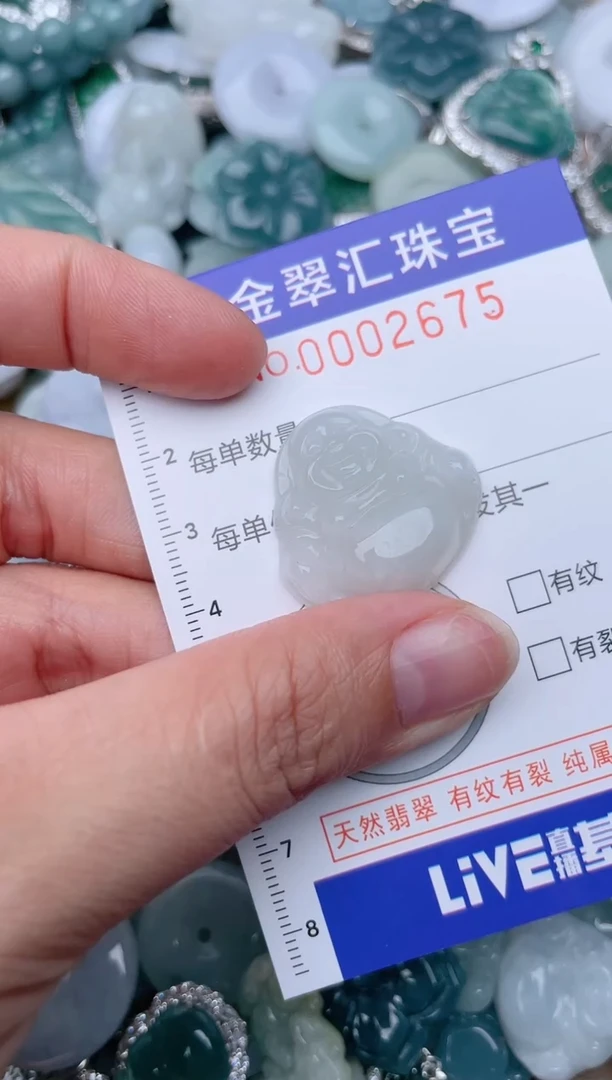 翡翠未镶嵌颈饰2675........1