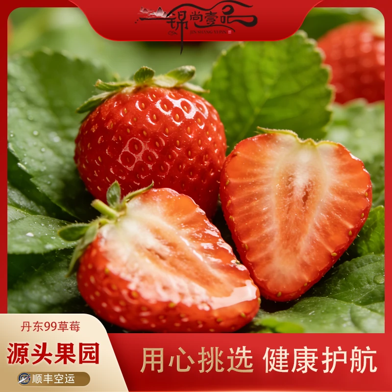 丹东99草莓【当日现摘】饱满大草莓 新鲜采摘 丹东马家岗发货