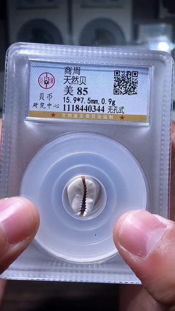 【闪购商品】铜历代 天然贝一枚