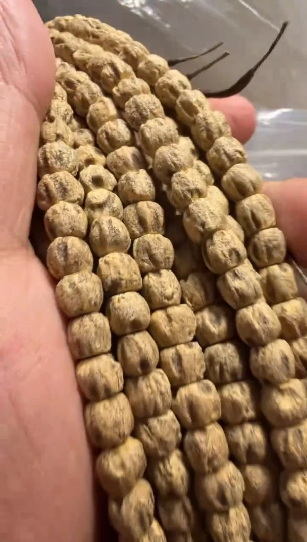 手串柏香籽/百香籽199.1多样性发一