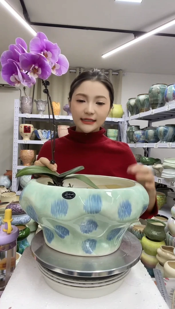 【1.4】花盆尺寸高：17 口：27