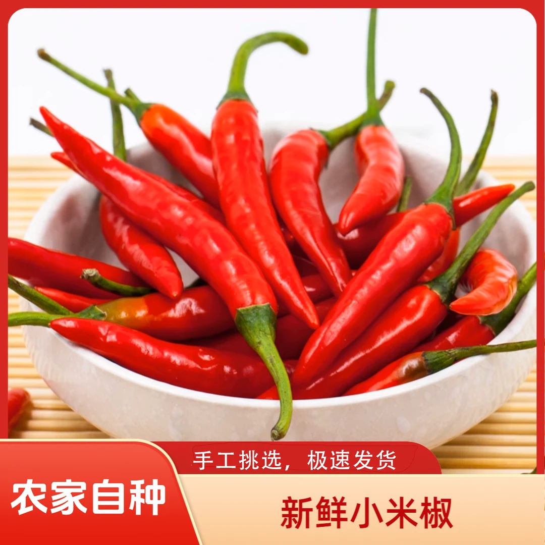 爆辣小米椒现摘现发生鲜专线极速发货
