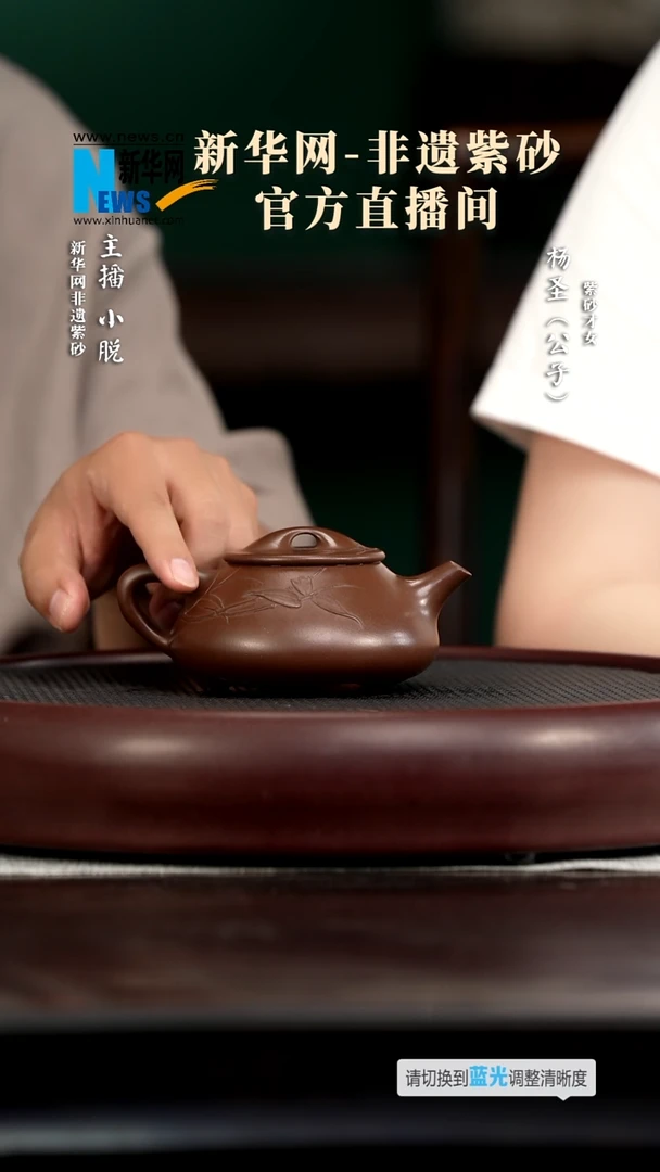 茶壶紫砂YSS111杨圣光明石瓢（泥绘）底260