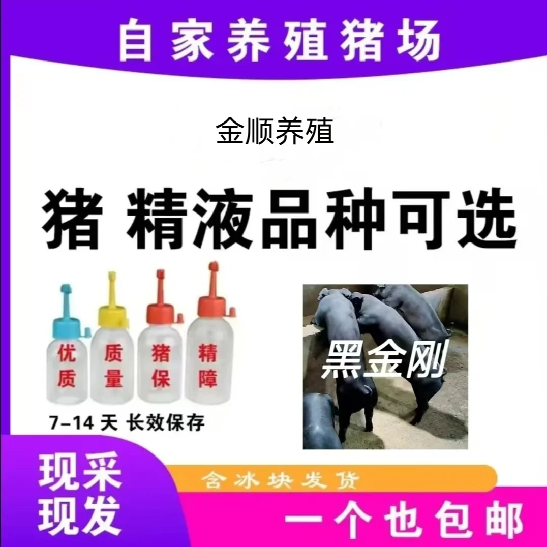 黑金刚猪精一次性输精管