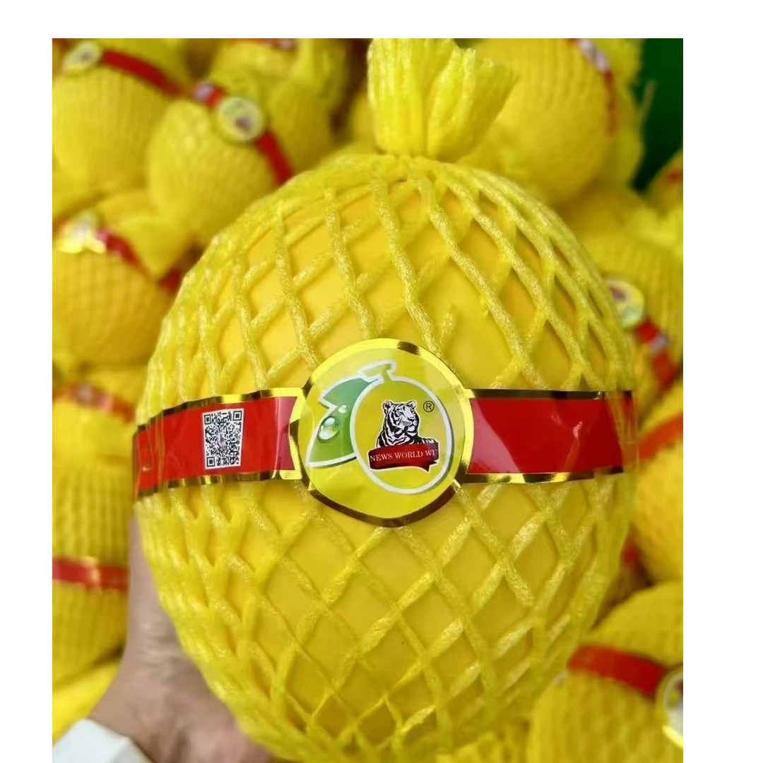 海南黄品哈蜜瓜2个/份4-5斤