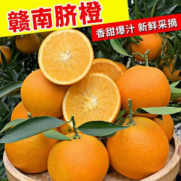 【新人福利】江西赣南脐橙新鲜现摘当季水果产地直发
