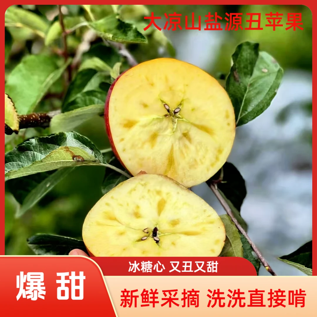助农优选！大凉山盐源丑苹果 产地直供 爆甜冰糖心 包邮现发