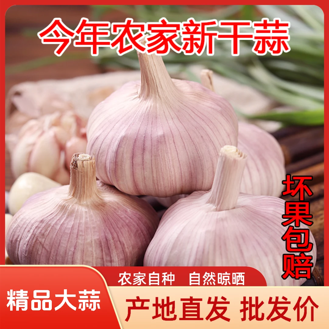 [2025新干蒜]今年农家自种干蒜大蒜头新鲜自然晾晒辛辣提香蔬菜I