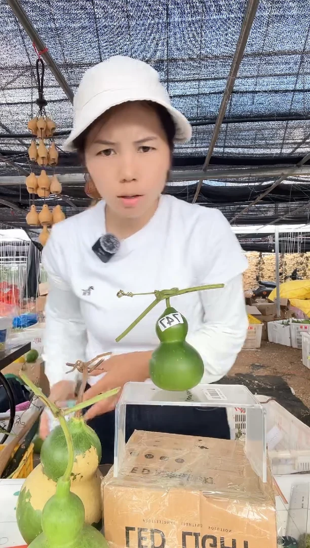 747天然葫芦摆件 一物一拍龙头不保售后