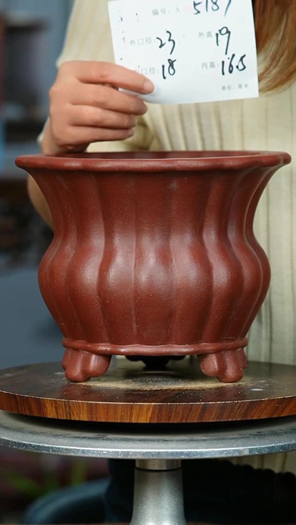 完全开放5187花卉园艺