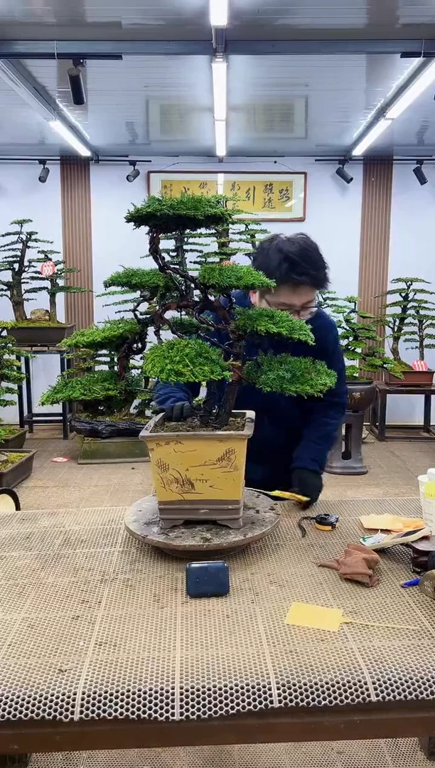 【闪购商品】000000