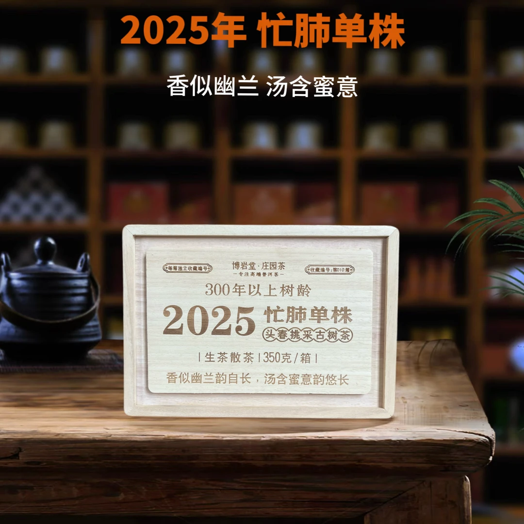 【宠粉福利】2025年 忙肺单株 头春古树 散（生茶 ）350克/盒【带茶样】