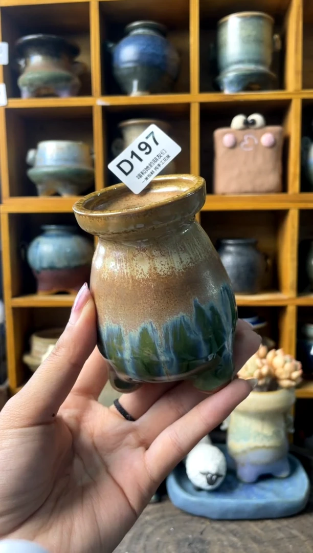 197内口5【多肉花盆多肉盆】