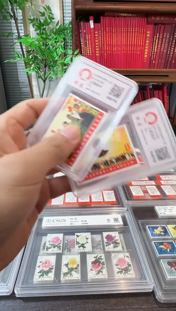 文6 封装评级鉴定收藏
