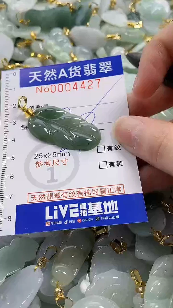 颈饰未镶嵌翡翠纯天然货a翡翠