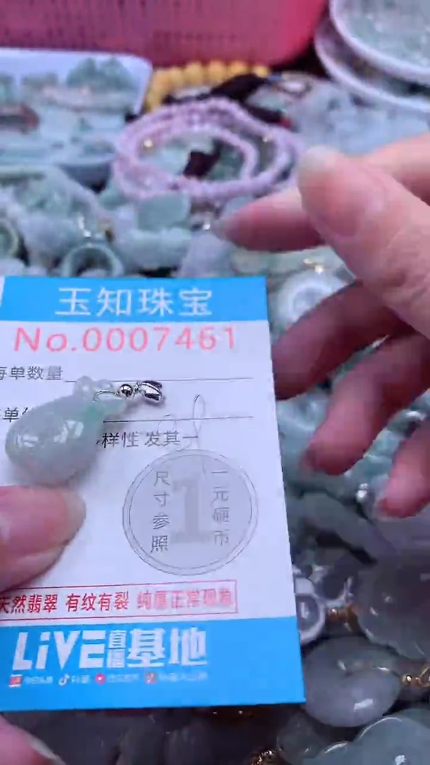 翡翠未镶嵌吊坠(不含链)7461