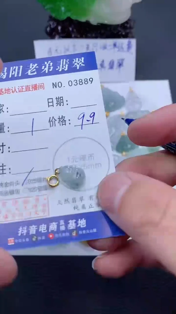 颈饰银S925镶嵌翡翠多样性发其中一件