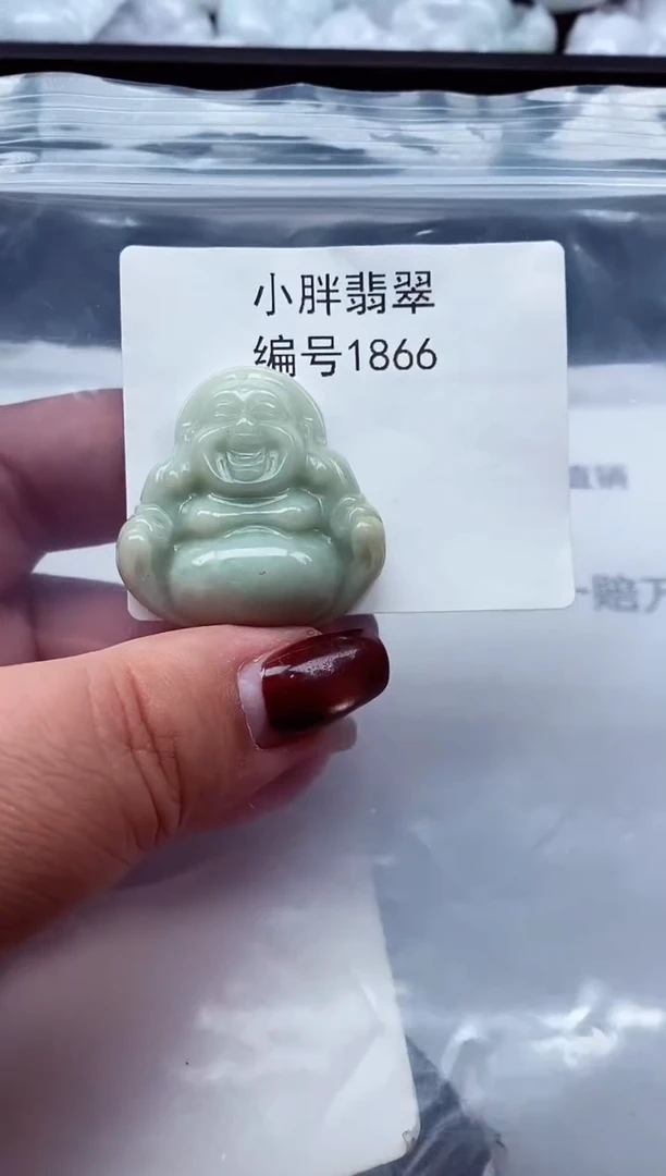 颈饰未镶嵌翡翠缅甸天然A货翡翠1866