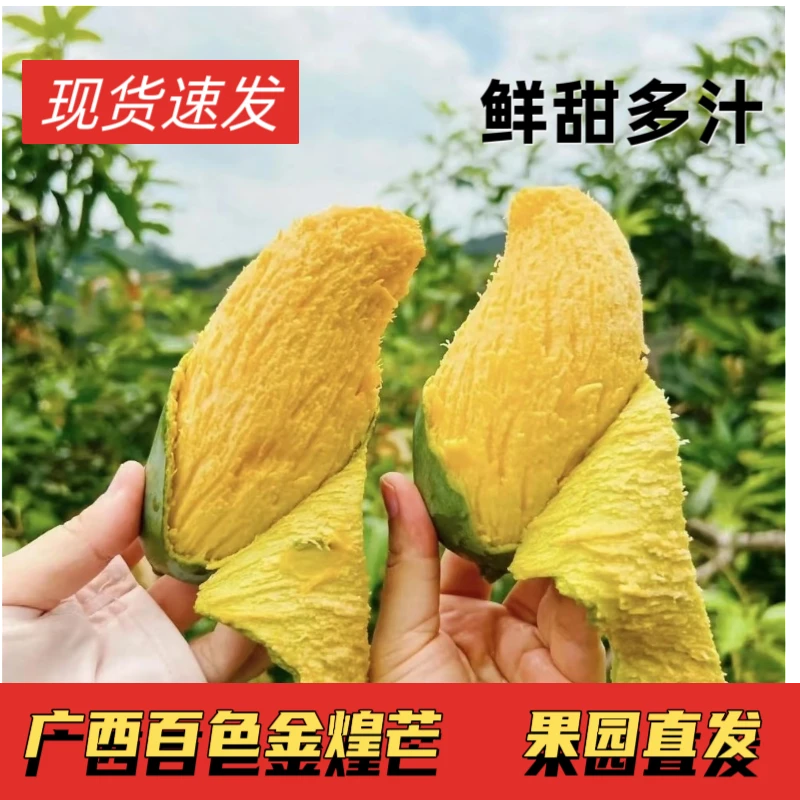【生熟两吃】广西特产酸嘢水果芒果脆甜芒青芒果大青芒脆甜金煌芒