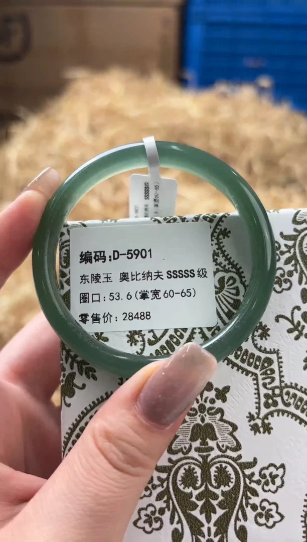 未镶嵌手镯石英质玉D-5901