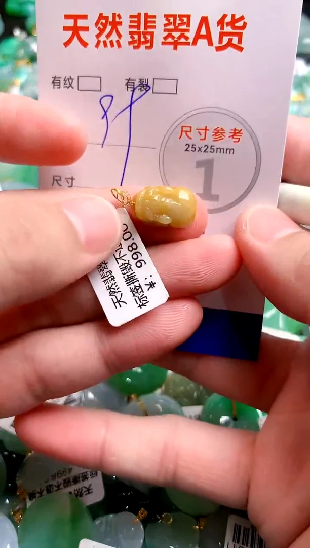 翡翠18K金镶嵌颈饰23000902