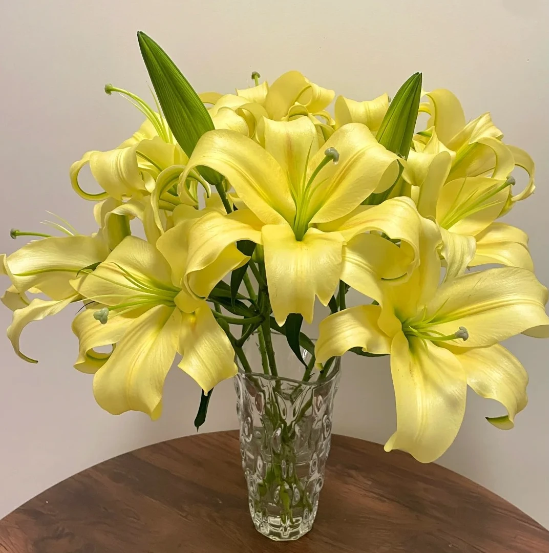 皇帝百合10头  一单包邮三单京东 收到需要醒花