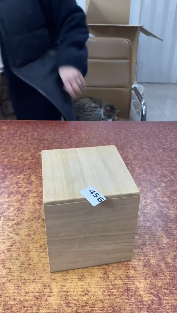 瓷片456小林轩欢迎您