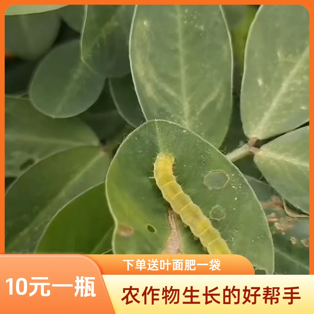 【小红瓶】青重软重钻心重有抗性解决方案