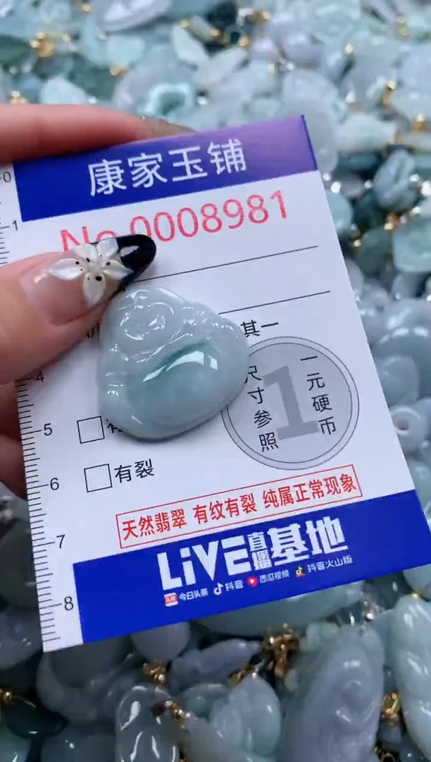 翡翠未镶嵌颈饰8981