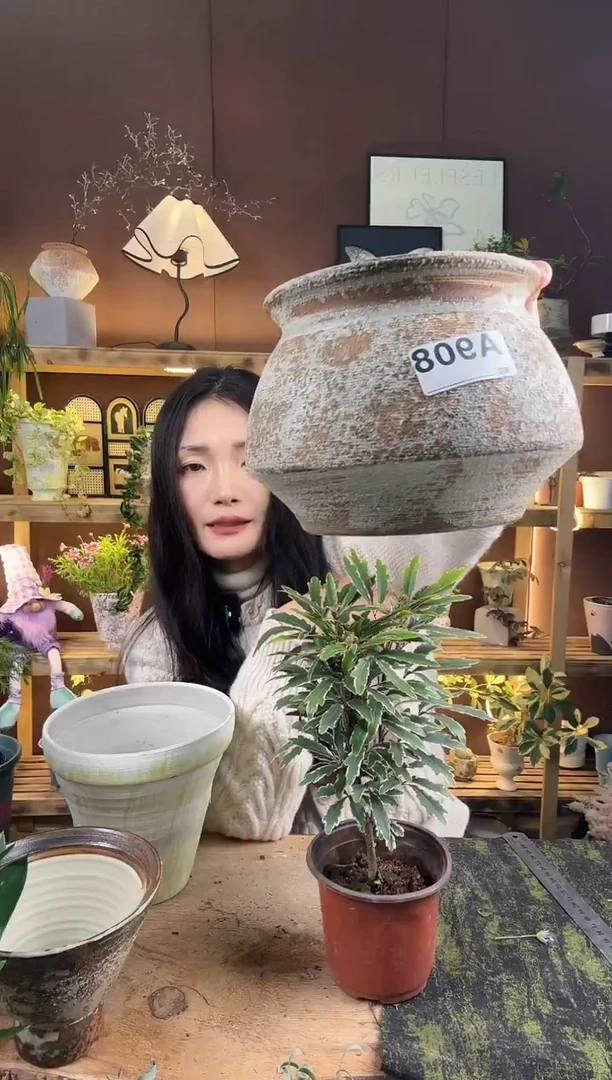 以实际为准编号 908  景德镇手绘花盆