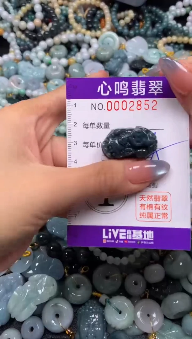 颈饰未镶嵌翡翠闪购002852
