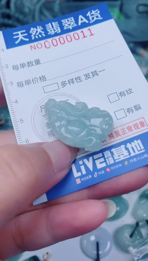 颈饰未镶嵌翡翠00000011