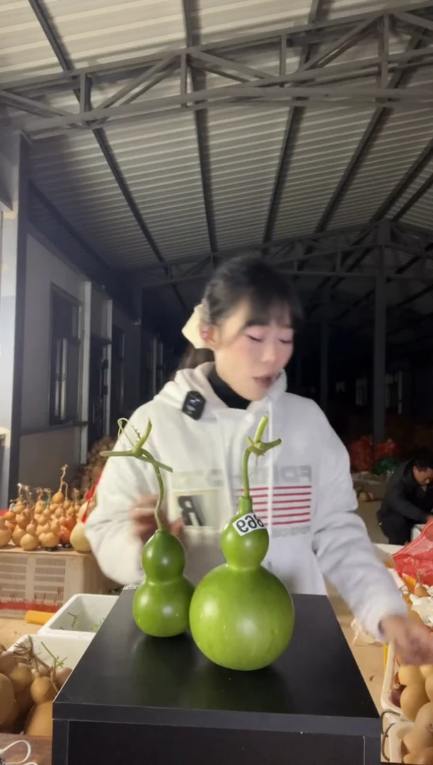 ?****L869天然葫芦摆件 一物一拍龙头不保售后两个