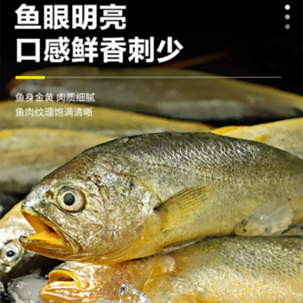 【黄花鱼】新鲜肉嫩黄花鱼 肉质细腻优选品质