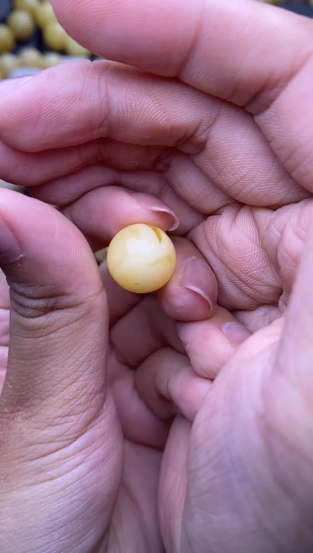 裸石琥珀未镶嵌13.9mm+大小姐珠宝42