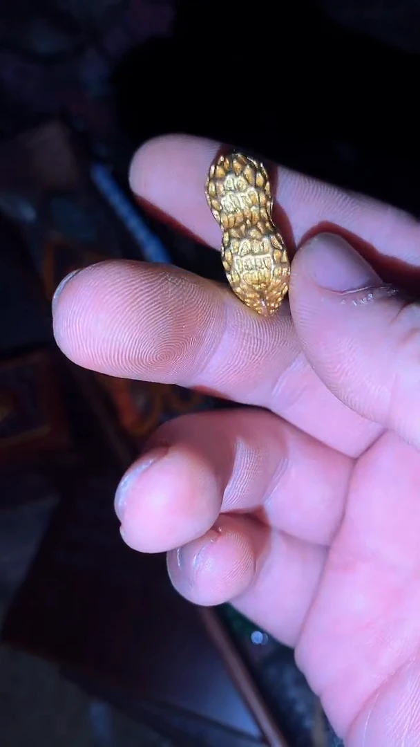 摆件--------（晓晓甄选）