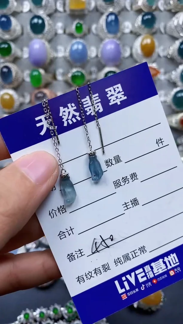 【闪购商品】翡翠耳饰银S925镶嵌0450